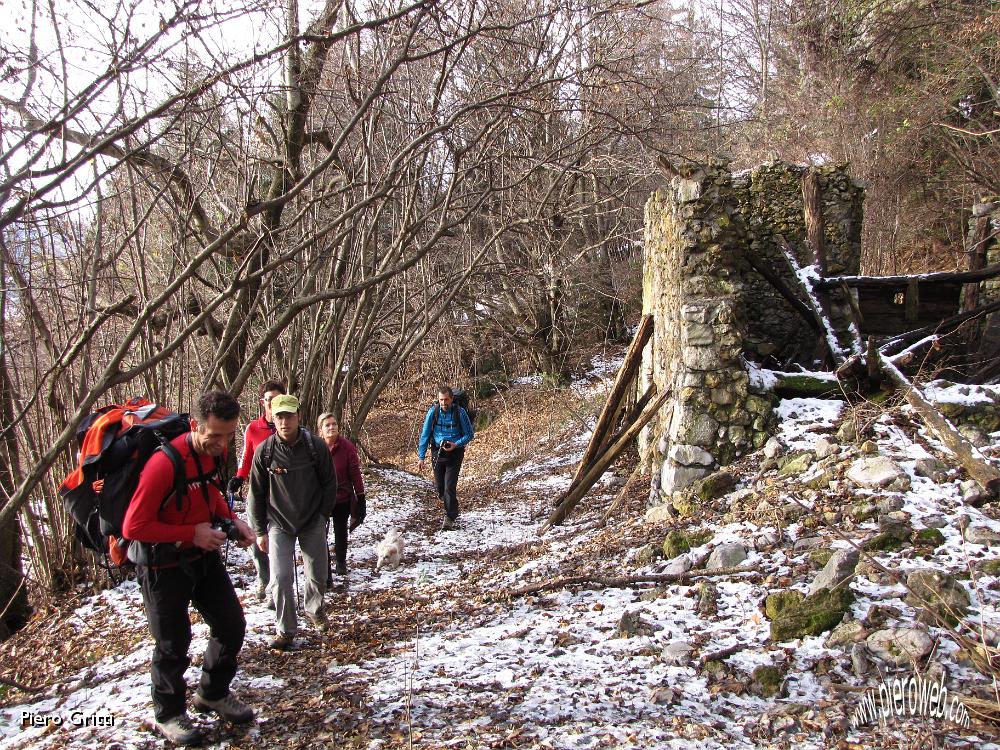 05 Ruderi nel bosco.jpg